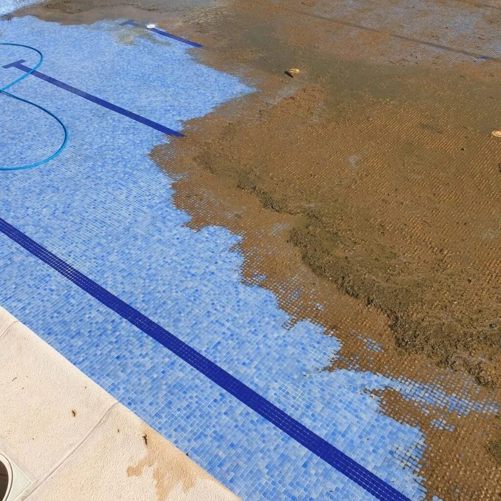 Mantenimiento de piscinas privadas y comunitarias en Campo de Borja